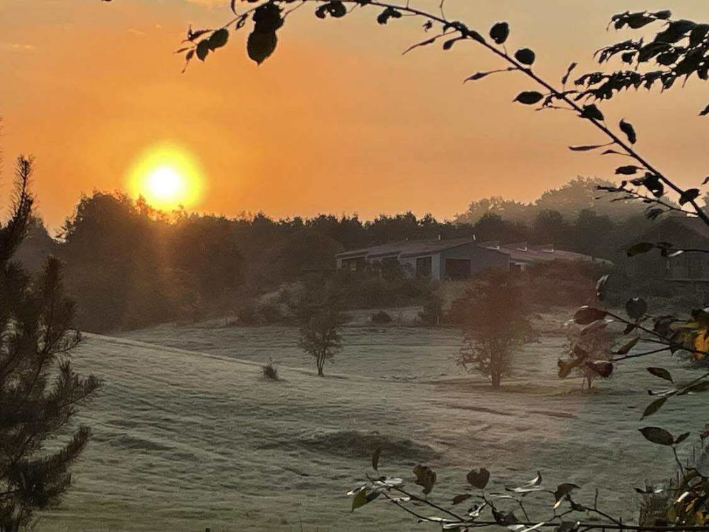 Lysbrohøjen 5